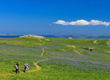 Skomer Island© Hawlfraint y Goron (2014) Croeso Cymru