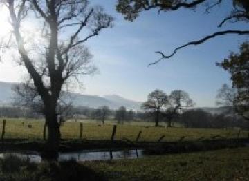 Walking North Wales